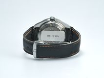 Seamaster Planet Ocean