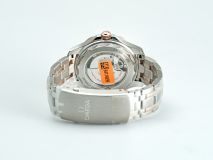 Seamaster Diver