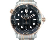 Seamaster Diver